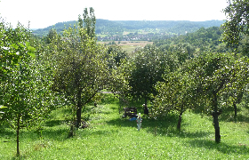 Hegnabronn Aussicht
